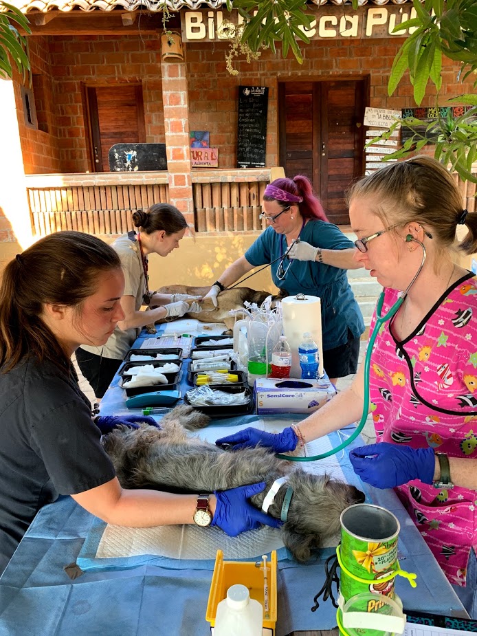 Front left: Brianna Kinley Farber (4th year Becker College student), Front right: Jessica McMurrer, Back Left: Danielle Rose (veterinary technician from Michigan), Back Right: Jennifer Buhler (veterinary technician from MA). 